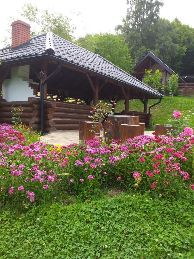 Pensiunea Doina Bucovinei Hotel Manastirea Humorului Exterior photo
